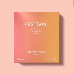 Turquoise Door Tomball Fun Gift Ideas FESTIVAL CANDLE